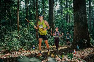 BIB: 
                            <button type="button" onclick="openModal(26079332)" class="btn btn-primary btn-sm float-right btn-popup" data-toggle="modal" data-target=".modal-high-quality">
                        <i class="fas fa-shopping-cart"></i> Add to Cart
                    </button>
                                            <button type="button" onclick="isThisMe(26079332, true)" class="btn btn-success btn-sm float-right btn-popup btn-isme hidden" data-toggle="tooltip" data-placement="bottom" title="นี่คือรูปของคุณใช่ไหม คลิกที่นี่เพื่อเอาเข้าอัลบั้ม">
                        <i class="fas fa-plus"></i> Add to album
                    </button>
                    <button type="button" onclick="isThisMe(26079332, false)" class="btn btn-warning btn-sm float-right btn-popup btn-isnotme hidden">
                        <i class="fas fa-ban"></i> Remove from album
                    </button>